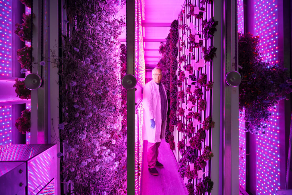 Jürg Heynkes im Vertical-Farming-Container auf Gut Einern